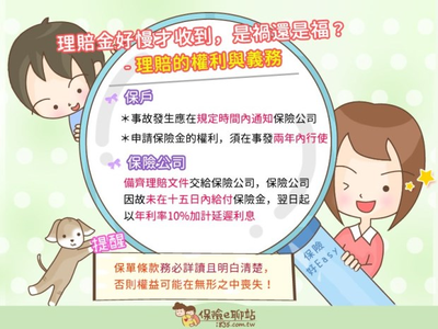 保險公司延遲賠償？快速計算利息及催收方法