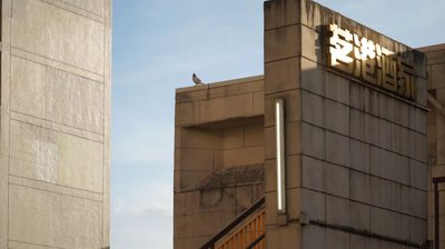 香港追查隱瞞財產終極指南：法律程序、證據搜集全解析
